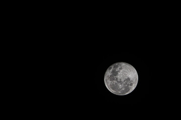 Naklejka premium moon