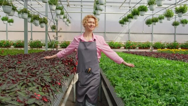 happy blonde florist gardener enjoys working in her greenhouse walking through flower saplings