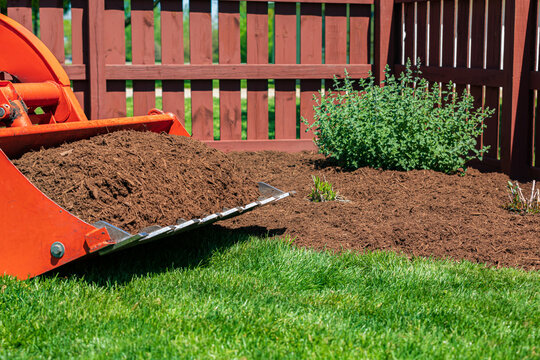 Tractor loader with wood chips or mulch and flowerbed. Lawncare, gardening and backyard landscaping concept