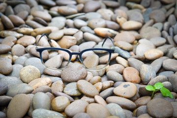 Clear eyeglasses, Glasses transparent dark blue frame Vintage style on pebbles with small plant