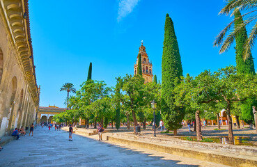The Courtyard of the Oranges, Mezquita, Cordoba, Spain