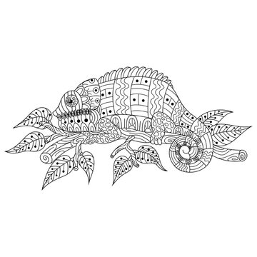 recommend clip art: Hand drawn of iguana in zentangle style