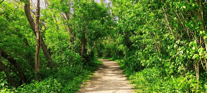 Parc du patis &agrave; MEAUX en Seine et Marne