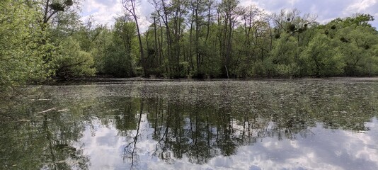 Parc du patis à MEAUX en Seine et Marne