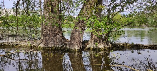 Parc du patis à MEAUX en Seine et Marne