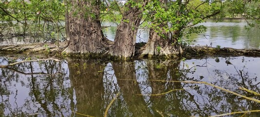 Parc du patis à MEAUX en Seine et Marne