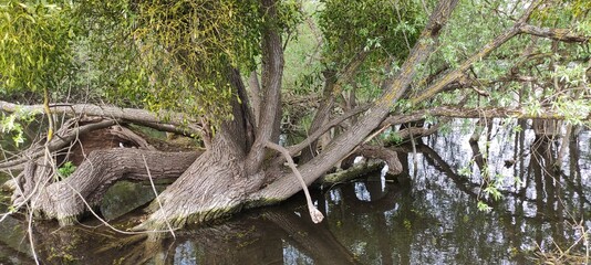 Parc du patis à MEAUX en Seine et Marne