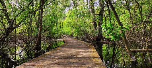 Parc du patis à MEAUX en Seine et Marne