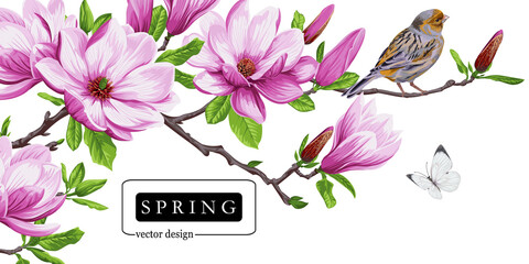 Spring greeting card with magnolia flowers © Maria