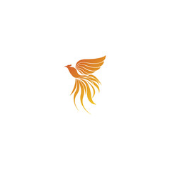 luxury phoenix logo vector. Creative Phoenix bird logo vector design illustration