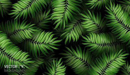 Summer botanical exotic pattern with green palm tropical leaves on dark. Design for cosmetics spa medical products travel company. Vector on a black background.