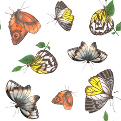 Butterflies of Various Sizes on White Background. Seamless Pattern with Butterfly.