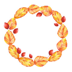 Watercolor autumn leaves wreath. Round botanical frame isolated on white background. Orange leaves and red berries copy space.
