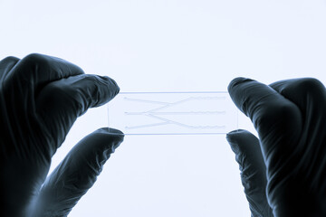 Organ on chip OOC and lab on chip LOC - microfluidic device chip that simulates biological organs and laboratory device . Prototype of design lab-on-a-chip LOC in microfluidic laboratory