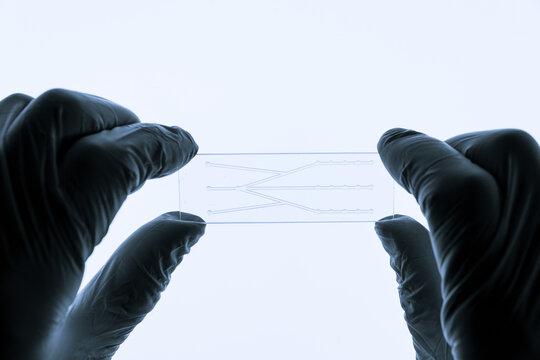 Organ on chip OOC and lab on chip LOC - microfluidic device chip that simulates biological organs and laboratory device . Prototype of design lab-on-a-chip LOC in microfluidic laboratory