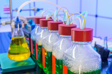 Experiments with obtaining electricity and bacteria processing industrial waste. Ecological electricity laboratory