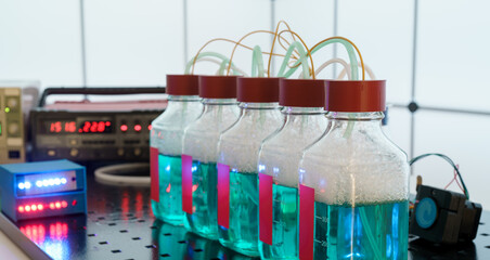 Biohydrogen droduction research produced by fermentation.