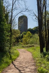 Fototapety na wymiar - Fototapeta24.pl