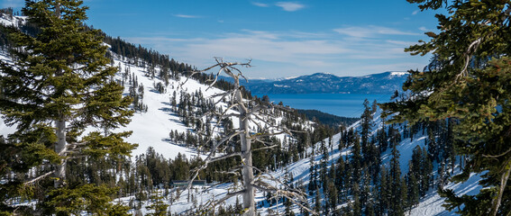 Fototapeta Scenic view of Lake Tahoe, in the Sierra Nevada Mountains in California, from the Alpine Meadows Ski Resort.  obraz