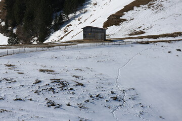 alpen
