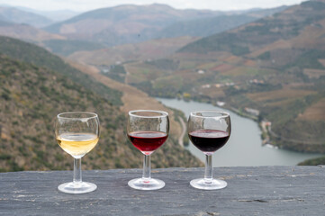 Tasting of Portuguese fortified port wine, produced in Douro Valley with Douro river and colorful terraced vineyards on background in autumn, Portugal