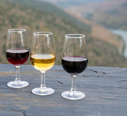 Tasting of Portuguese fortified port wine, produced in Douro Valley with Douro river and colorful terraced vineyards on background in autumn, Portugal