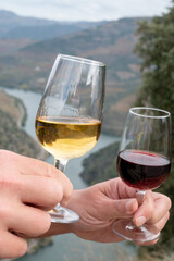 Tasting of Portuguese fortified port wine, produced in Douro Valley with Douro river and colorful terraced vineyards on background in autumn, Portugal