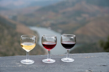 Tasting of Portuguese fortified port wine, produced in Douro Valley with Douro river and colorful terraced vineyards on background in autumn, Portugal