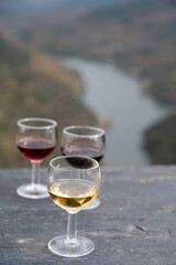 Tasting of Portuguese fortified port wine, produced in Douro Valley with Douro river and colorful terraced vineyards on background in autumn, Portugal