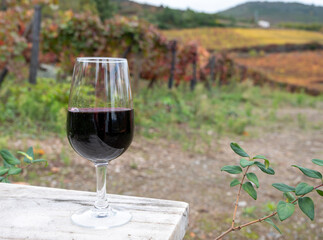 Tasting of Portuguese fortified port wine, produced in Douro Valley with colorful terraced vineyards on background in autumn, Portugal