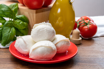 Cheese collection, small fresh white soft mozzarella cheese balls served with red tomatoes and...