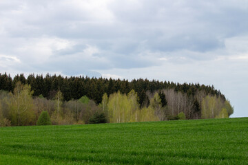 Obraz premium landscape with trees and sky