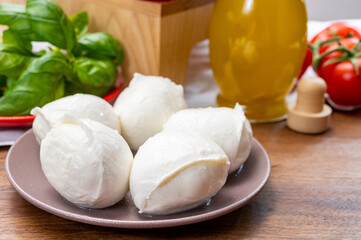 Cheese collection, small fresh white soft mozzarella cheese balls served with red tomatoes and...