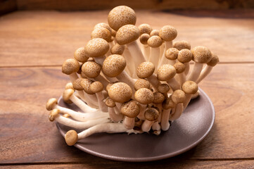 Shimeji edible mushrooms native to East Asia, buna-shimeji is widely cultivated and rich in umami tasting compounds