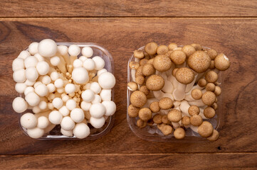 Shimeji edible mushrooms native to East Asia, buna-shimeji is widely cultivated and rich in umami tasting compounds