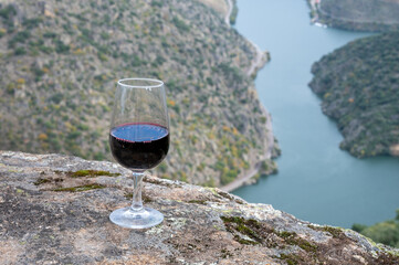Glass of Portuguese fortified port wine, produced in Douro Valley and Douro river with colorful terraced vineyards on background in autumn, Portugal