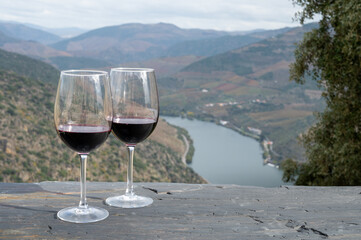 Tasting of Portuguese red dry wine, produced in Douro Valley and Douro river and terraced vineyards on background in autumn, Portugal