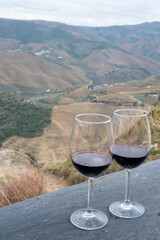 Tasting of Portuguese red dry wine, produced in Douro Valley and Douro river and terraced vineyards on background in autumn, Portugal