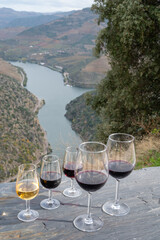 Tasting of Portuguese fortified port wine and dry red wine, produced in Douro Valley with Douro river and colorful terraced vineyards on background in autumn, Portugal
