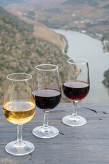 Tasting of Portuguese fortified port wine, produced in Douro Valley with Douro river and colorful terraced vineyards on background in autumn, Portugal