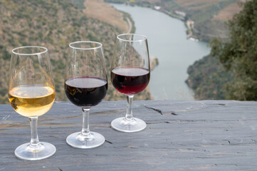 Tasting of Portuguese fortified port wine, produced in Douro Valley with Douro river and colorful terraced vineyards on background in autumn, Portugal