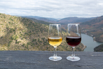 Glasses of Portuguese fortified port wine, produced in Douro Valley and Douro river with colorful terraced vineyards on background in autumn, Portugal