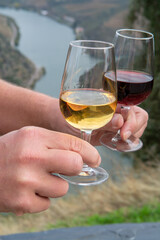 Tasting of Portuguese fortified port wine, produced in Douro Valley with Douro river and colorful terraced vineyards on background in autumn, Portugal