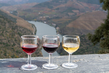 Tasting of Portuguese fortified port wine, produced in Douro Valley with Douro river and colorful terraced vineyards on background in autumn, Portugal