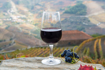 Tasting of Portuguese fortified port wine, produced in Douro Valley with colorful terraced...