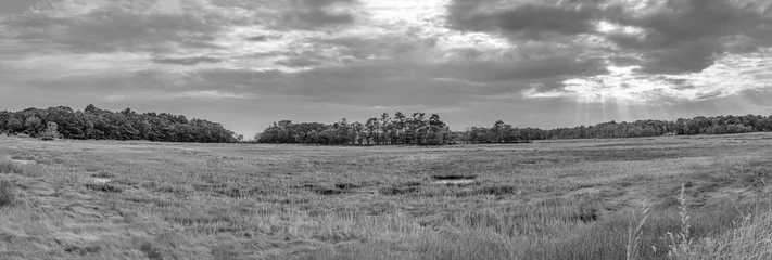 Fototapeten scenic swamp landscape in Scarboro © travelview