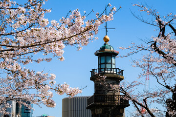 東京都千代田区 九段下 桜と常燈明台