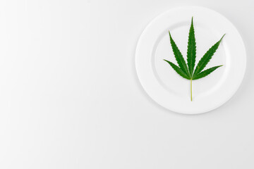 Cannabis plant isolated on white background. Hemp leaf close up. Marijuana green leaf.