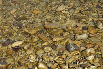 close up of a stone on the beach