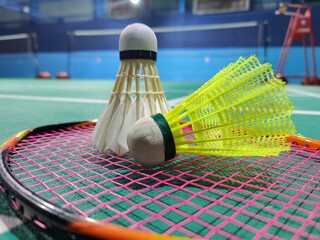 badminton and shuttle cork